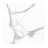 ALPSSTATUARIO1a