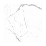 ALPSSTATUARIO3