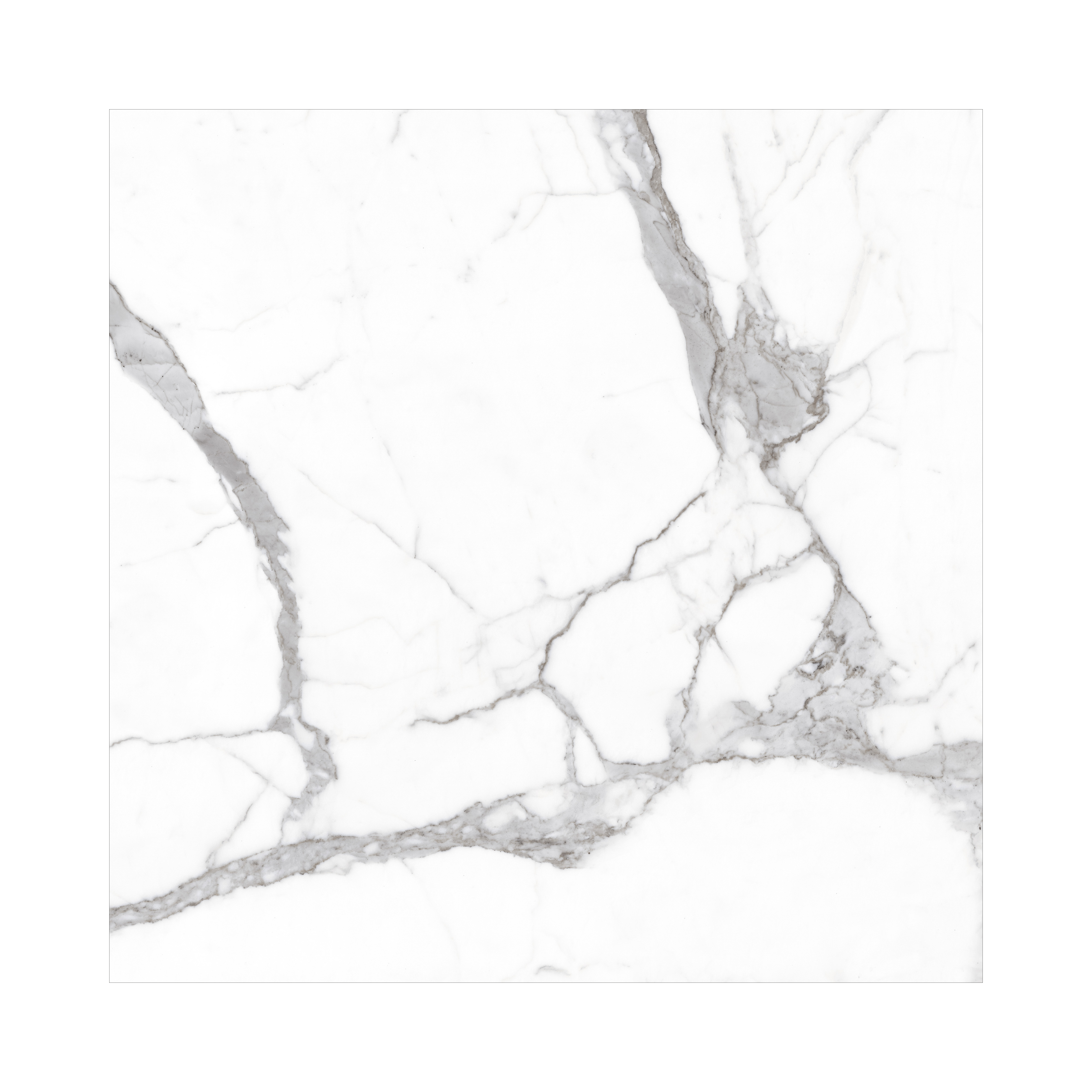 ALPS STATUARIO – 120x120cm glossy white marble look porcelain tile. A luxurious large format option ideal for modern floors and walls.