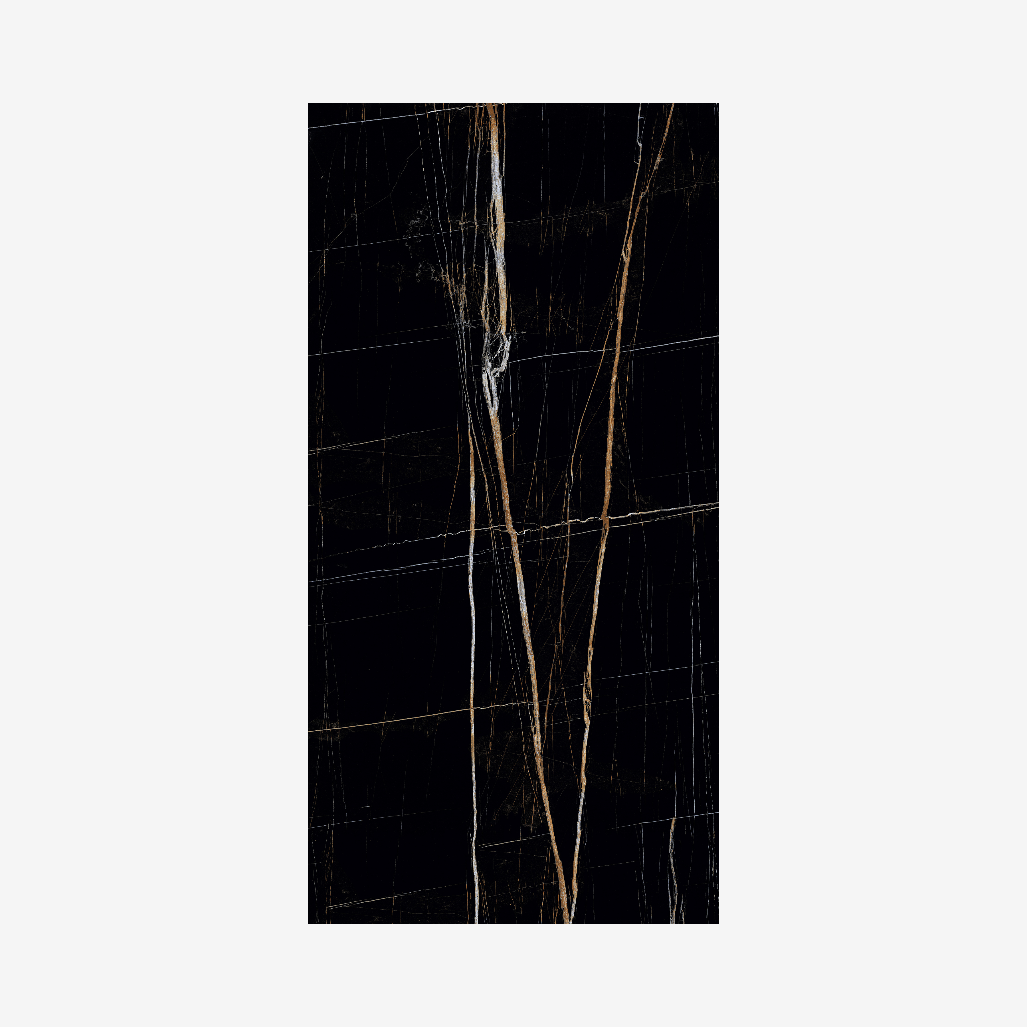 Black Beauty 120x240cm high glossy tile with rich black tones and elegant veining. Perfect for luxury interiors, feature walls, and modern spaces.