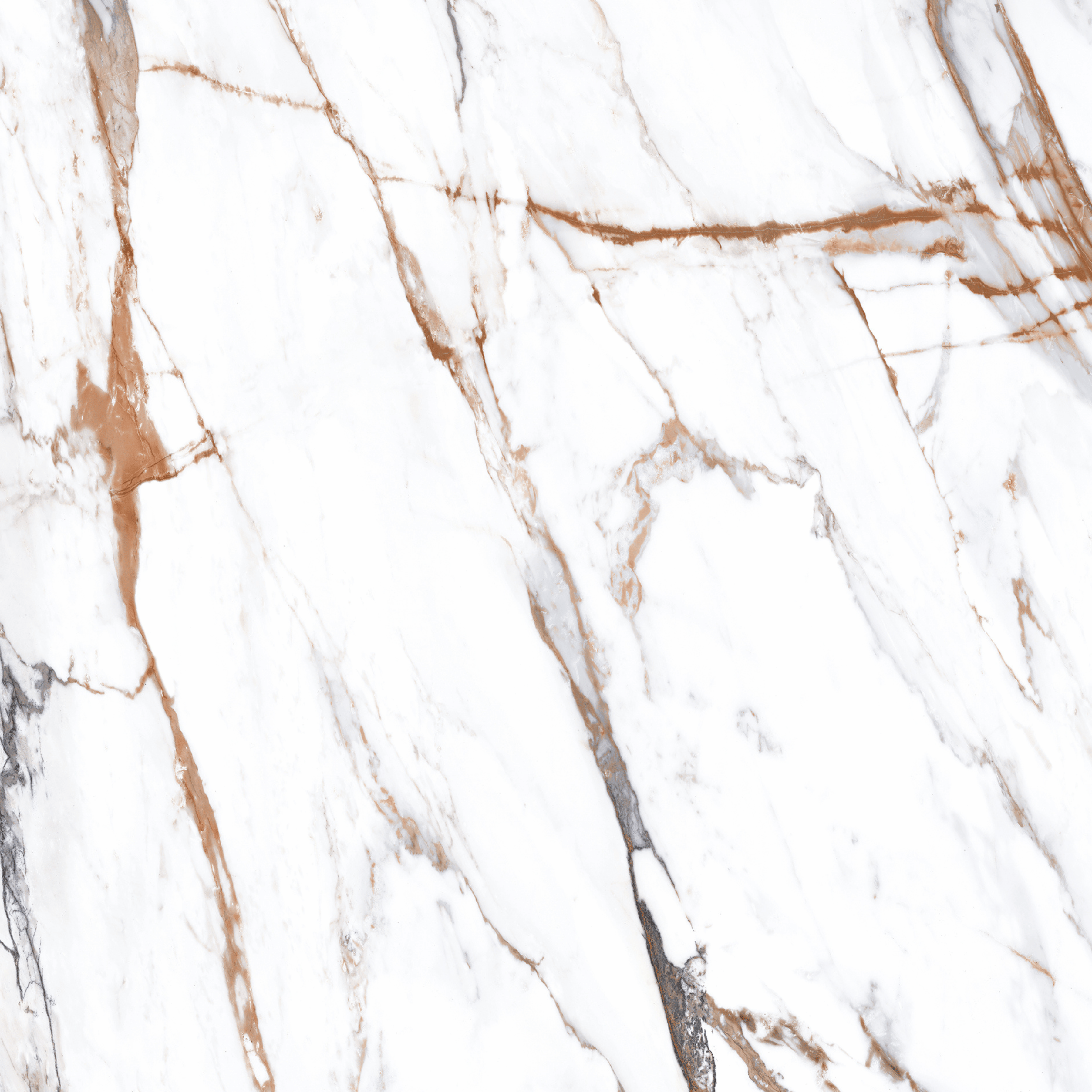 CALACUTTA BORGHINI 120x278cm marble look tile with stunning veining in a sleek glossy finish. A premium large format tile for luxurious interiors.