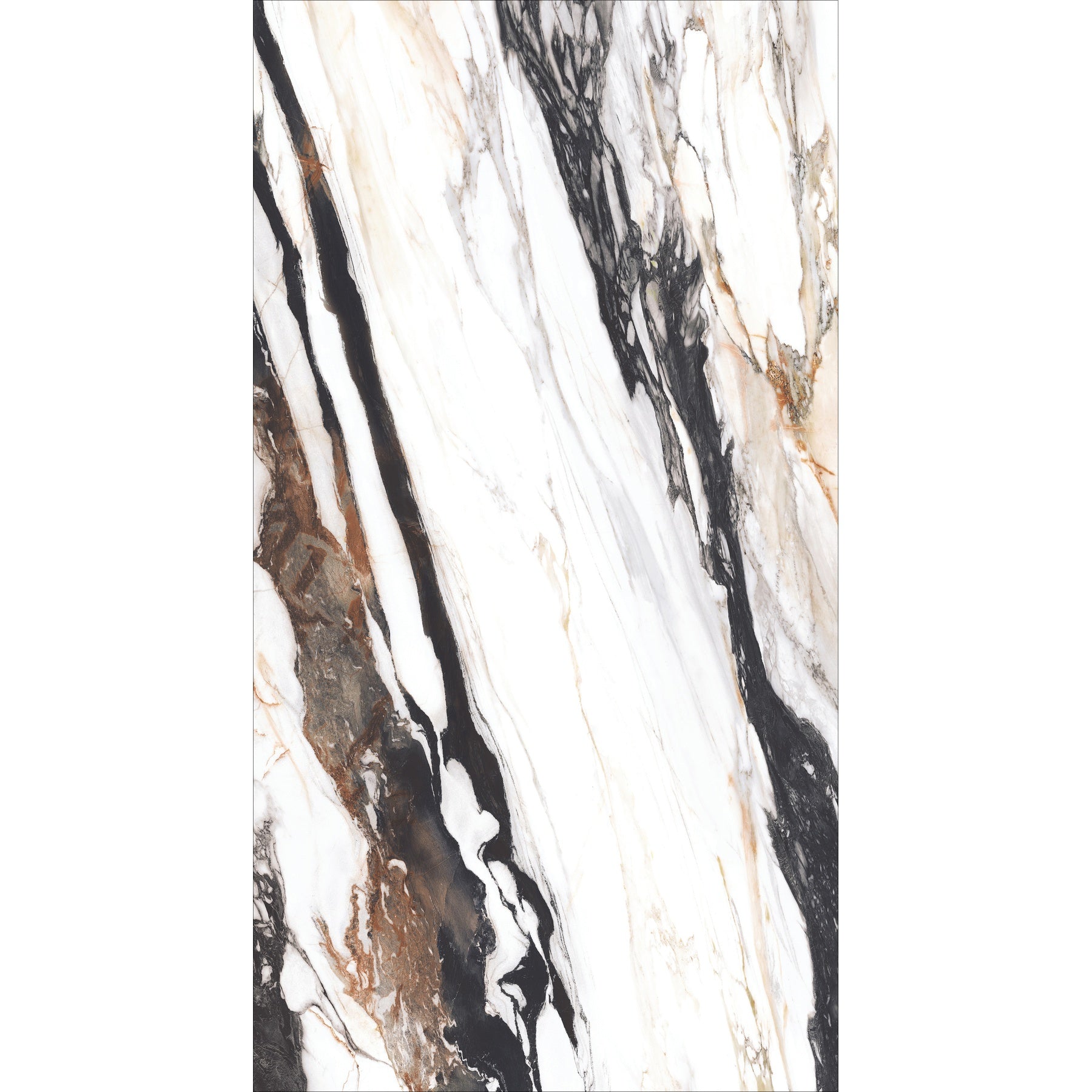 CALCUTTAOYSTER2