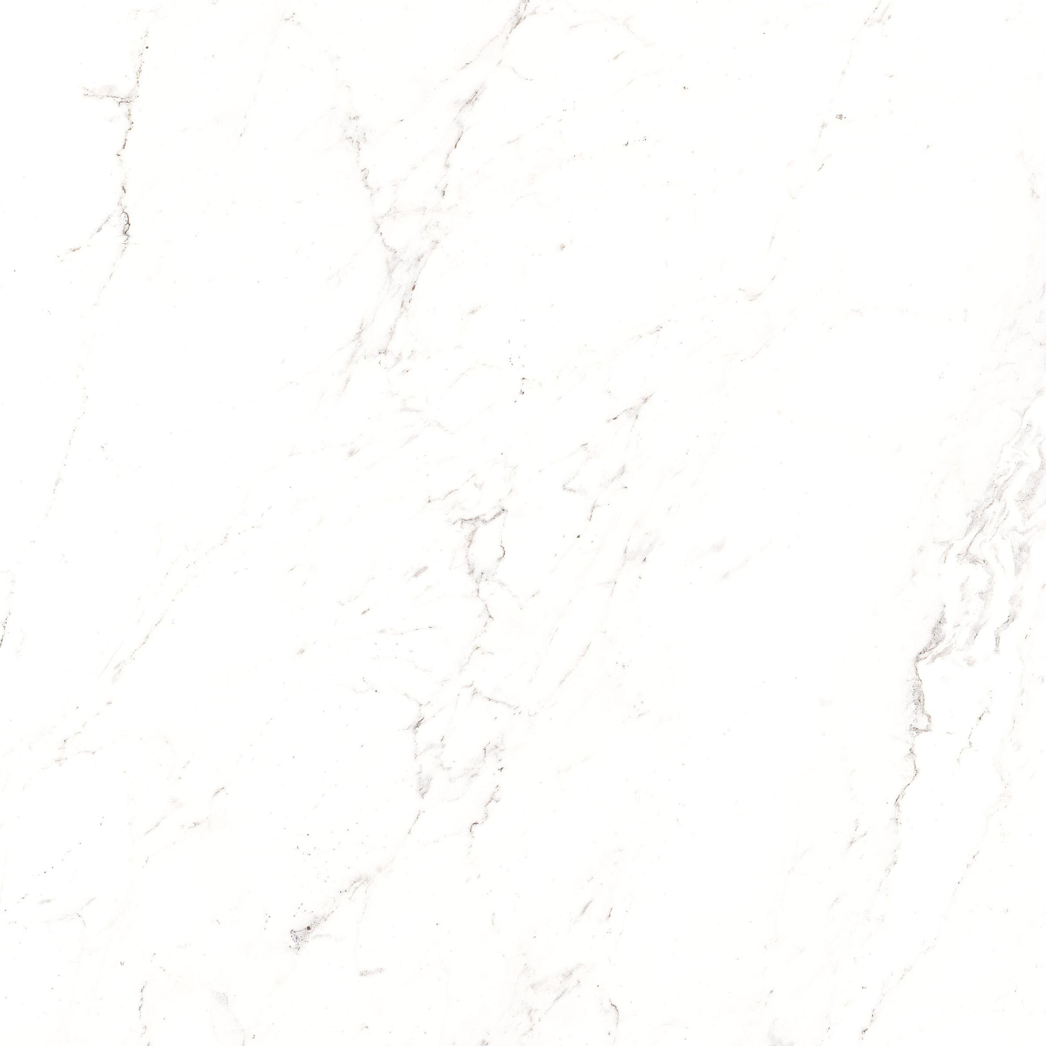 CARRARA NATURAL 120x278cm Carrara marble look tile with soft veins and a stunning glossy finish. A premium large format tile for luxurious interiors.
