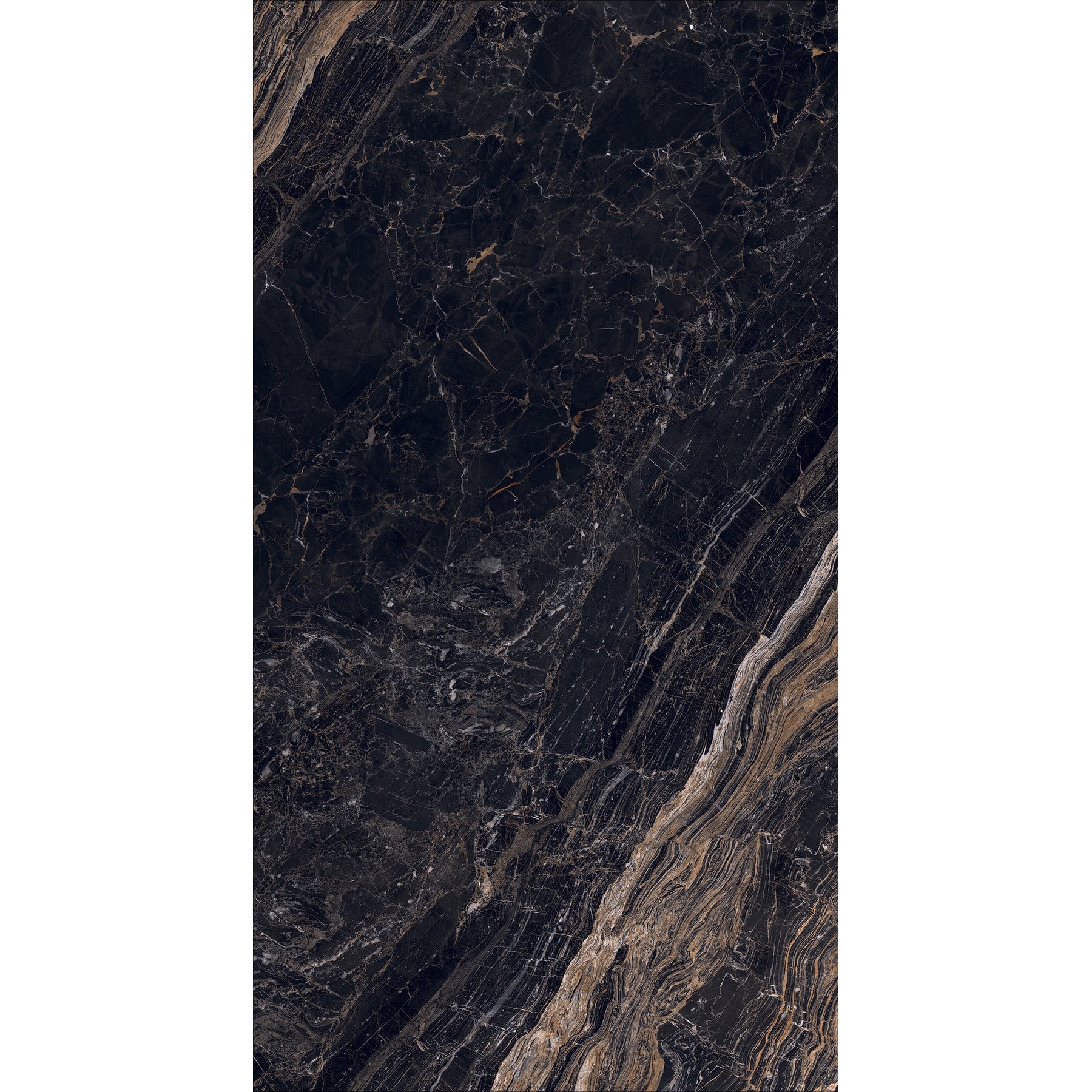 ELITEBLACK1