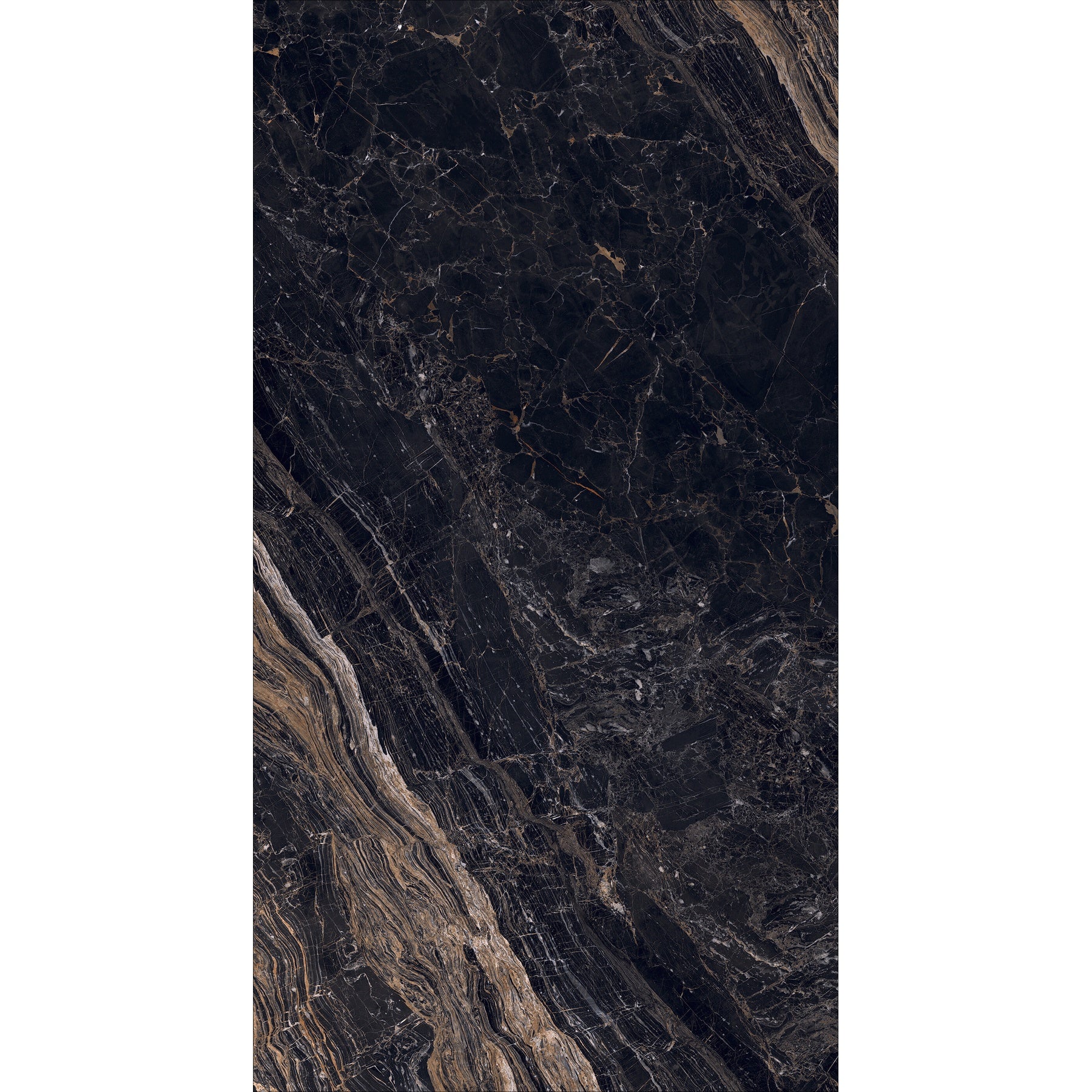 ELITEBLACK2