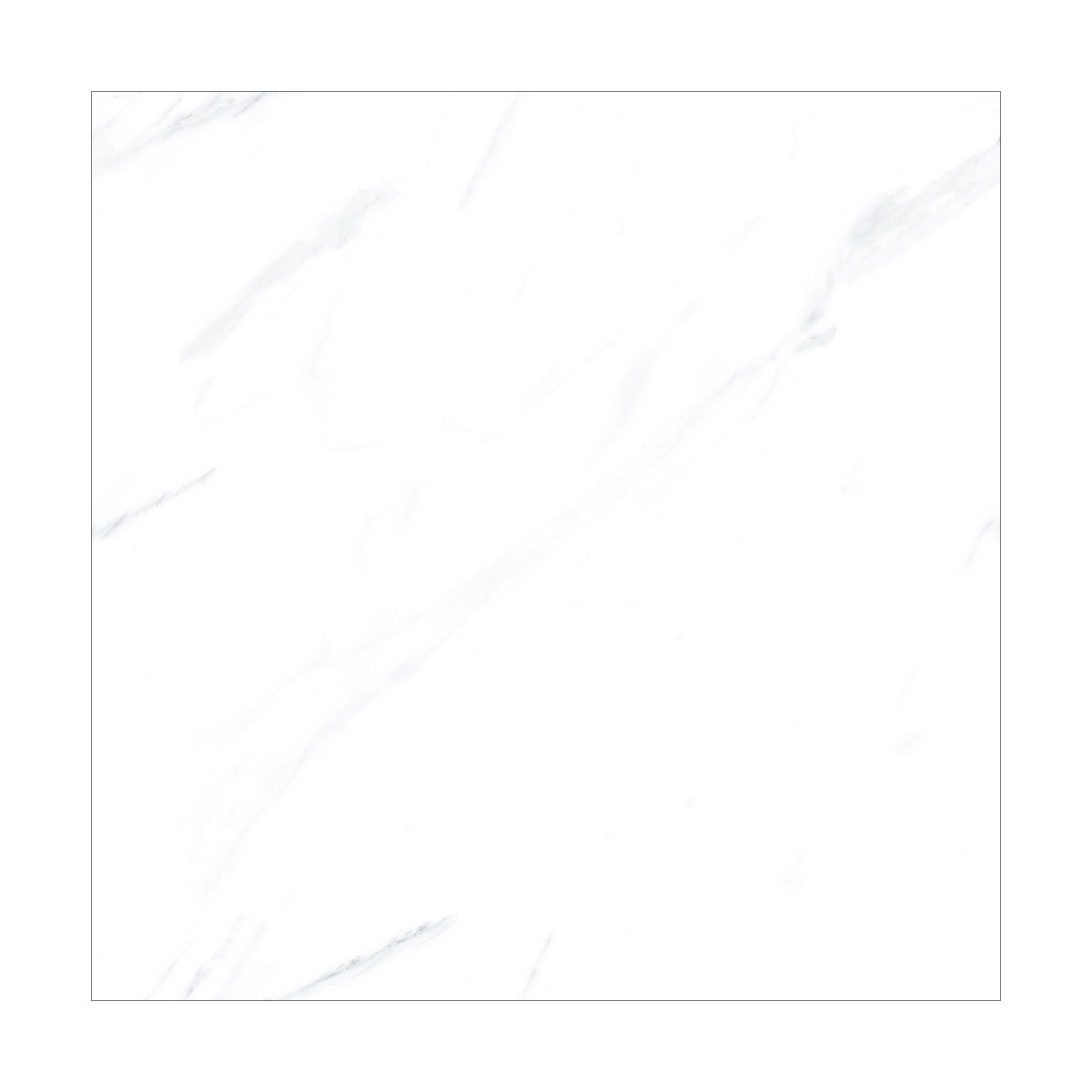 ELITEWHITE2