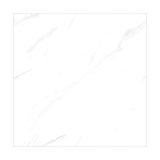 ELITEWHITE2