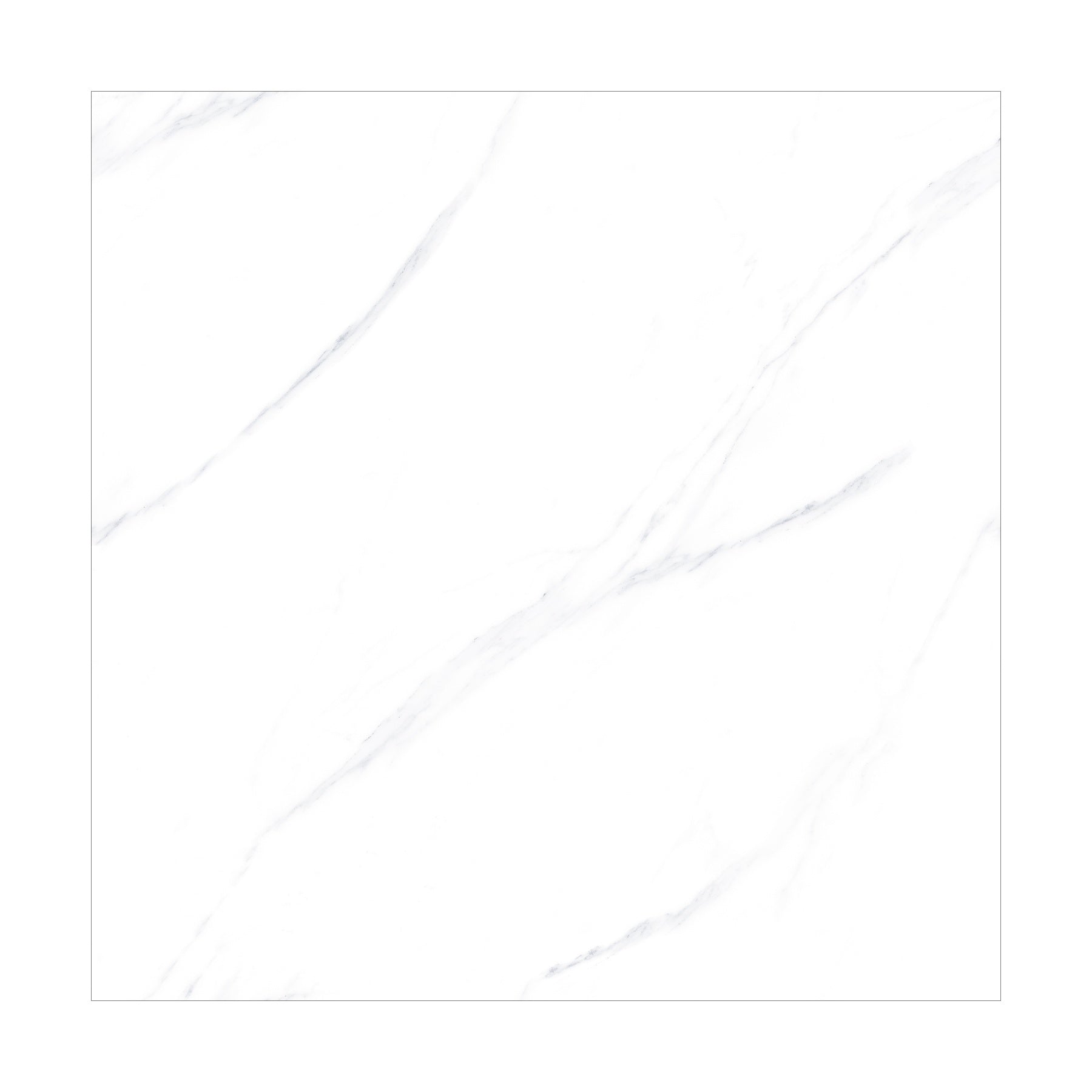 ELITEWHITE3