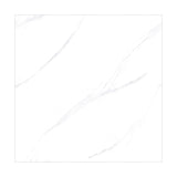 ELITEWHITE3