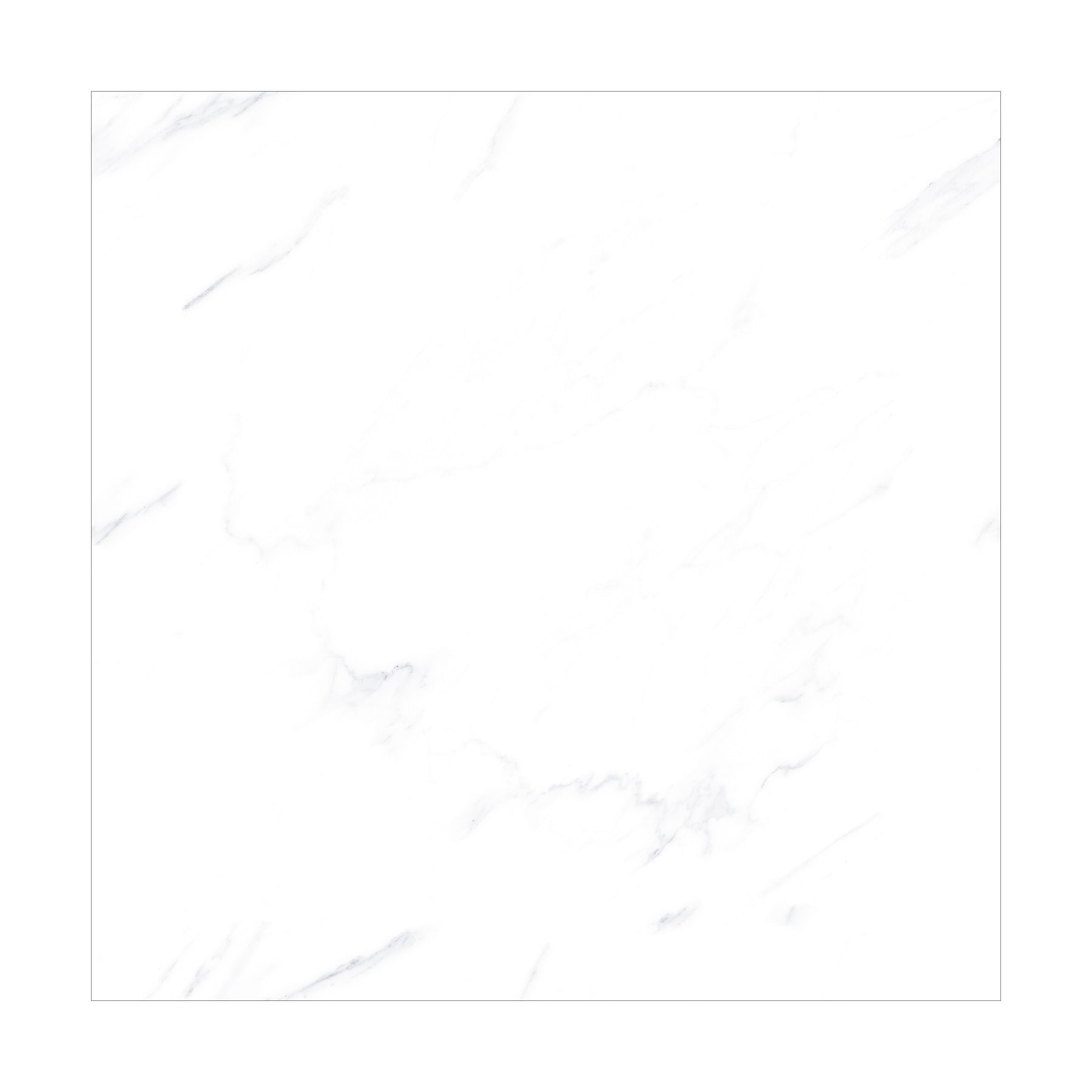 ELITEWHITE4