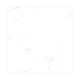 ELITEWHITE4