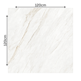 ELITE WHITE – 120x120cm glossy porcelain tile featuring premium white marble design. Large format tile perfect for elegant, durable flooring and wall applications.
