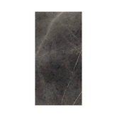 Pietra Fantastic 120x240cm glossy tile with bold veining and rich textures. A luxury stone-inspired finish for elegant modern interiors.