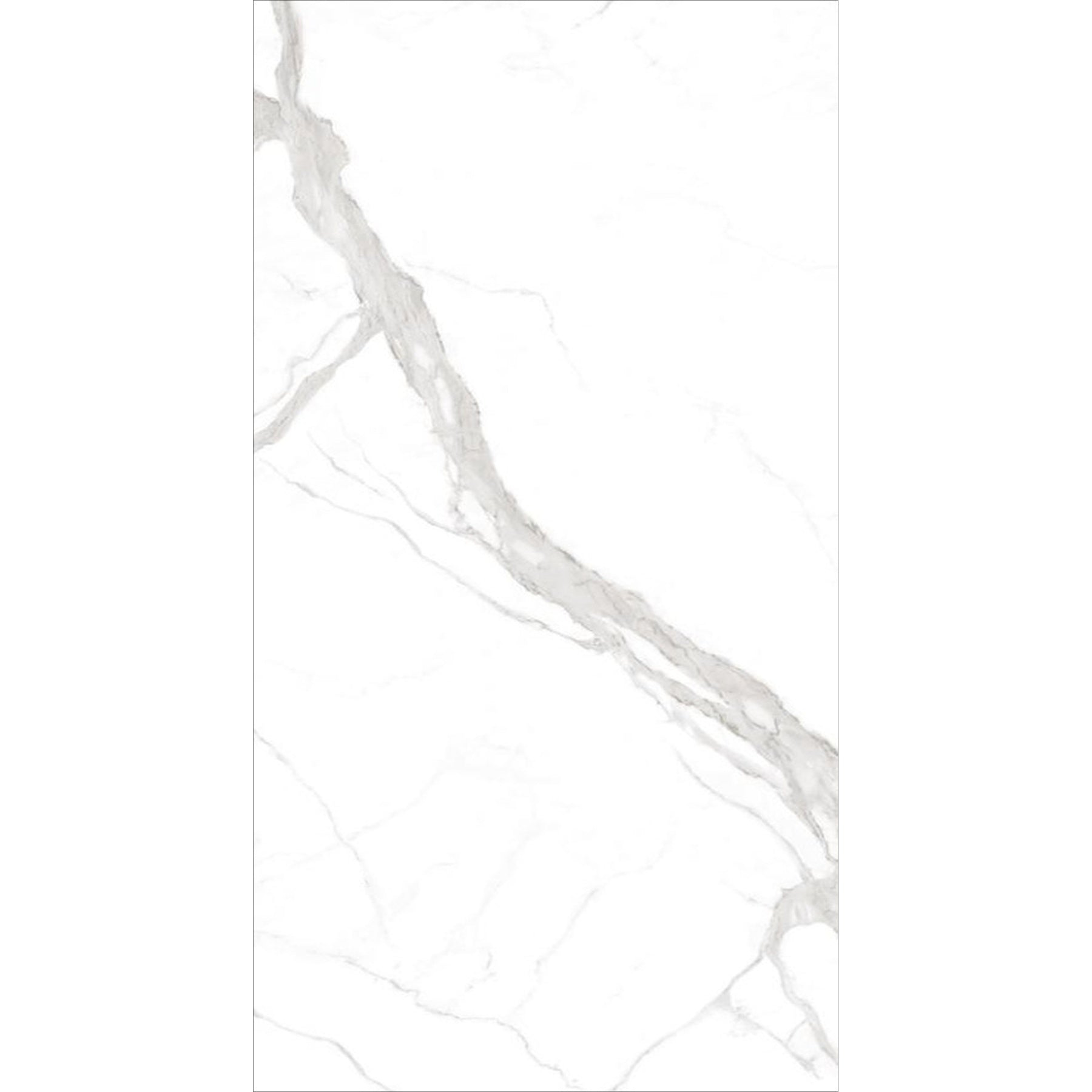 REGATOWHITE1