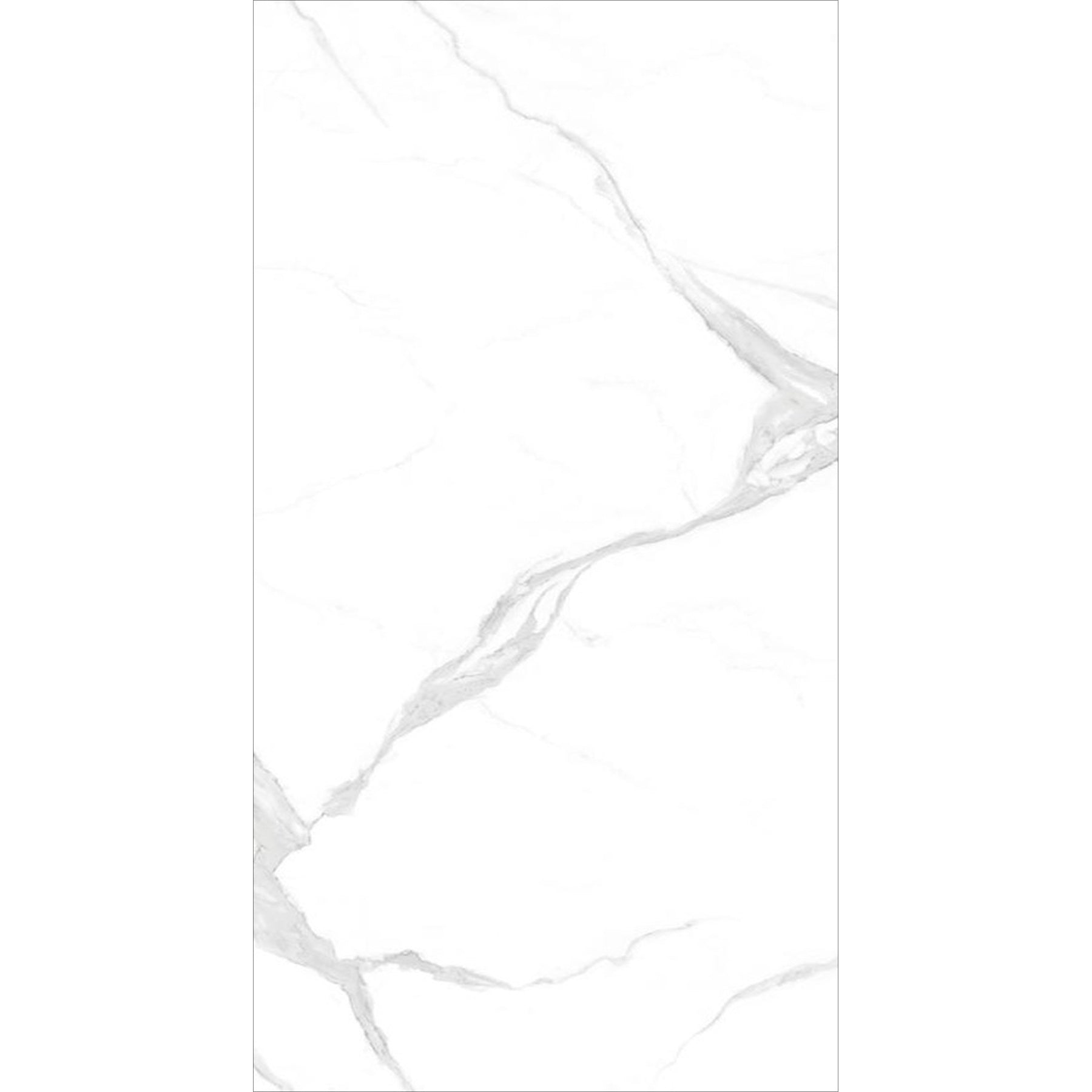 REGATOWHITE2