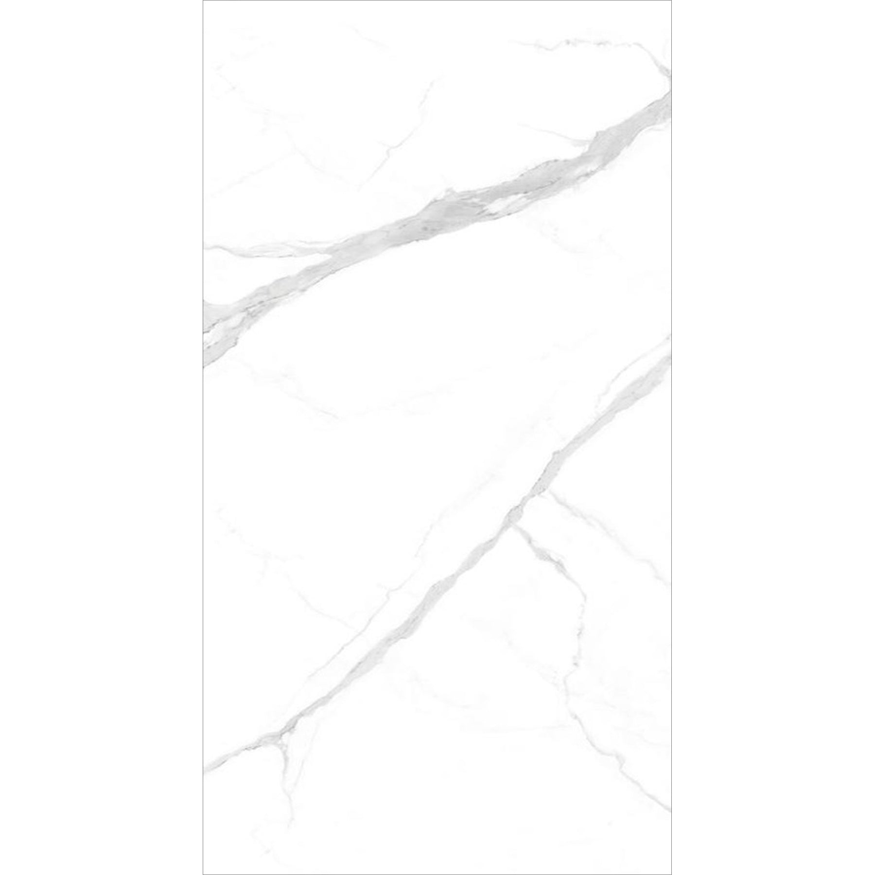 REGATOWHITE3