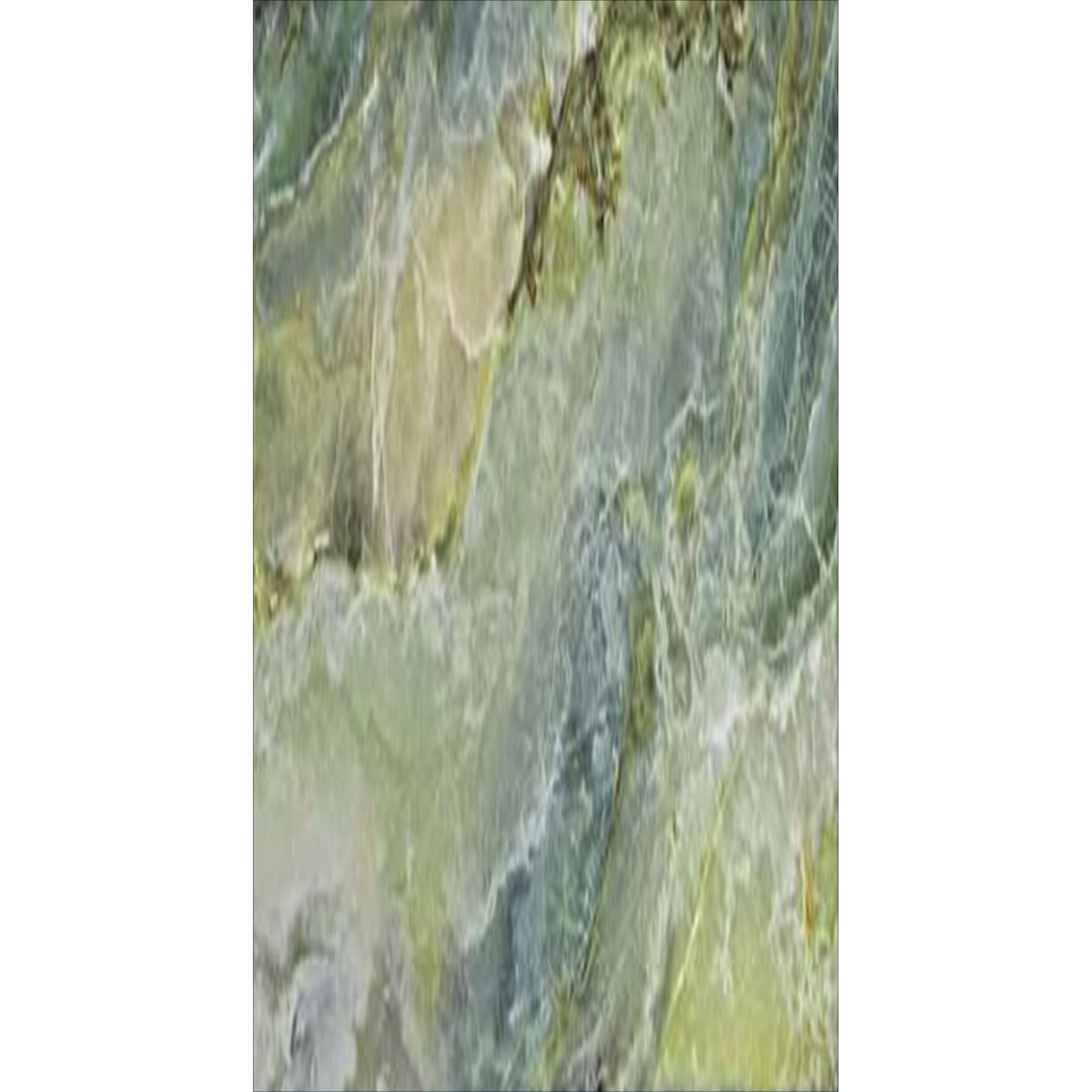 RISHGREEN1
