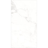 STATUARIOJUPITER2
