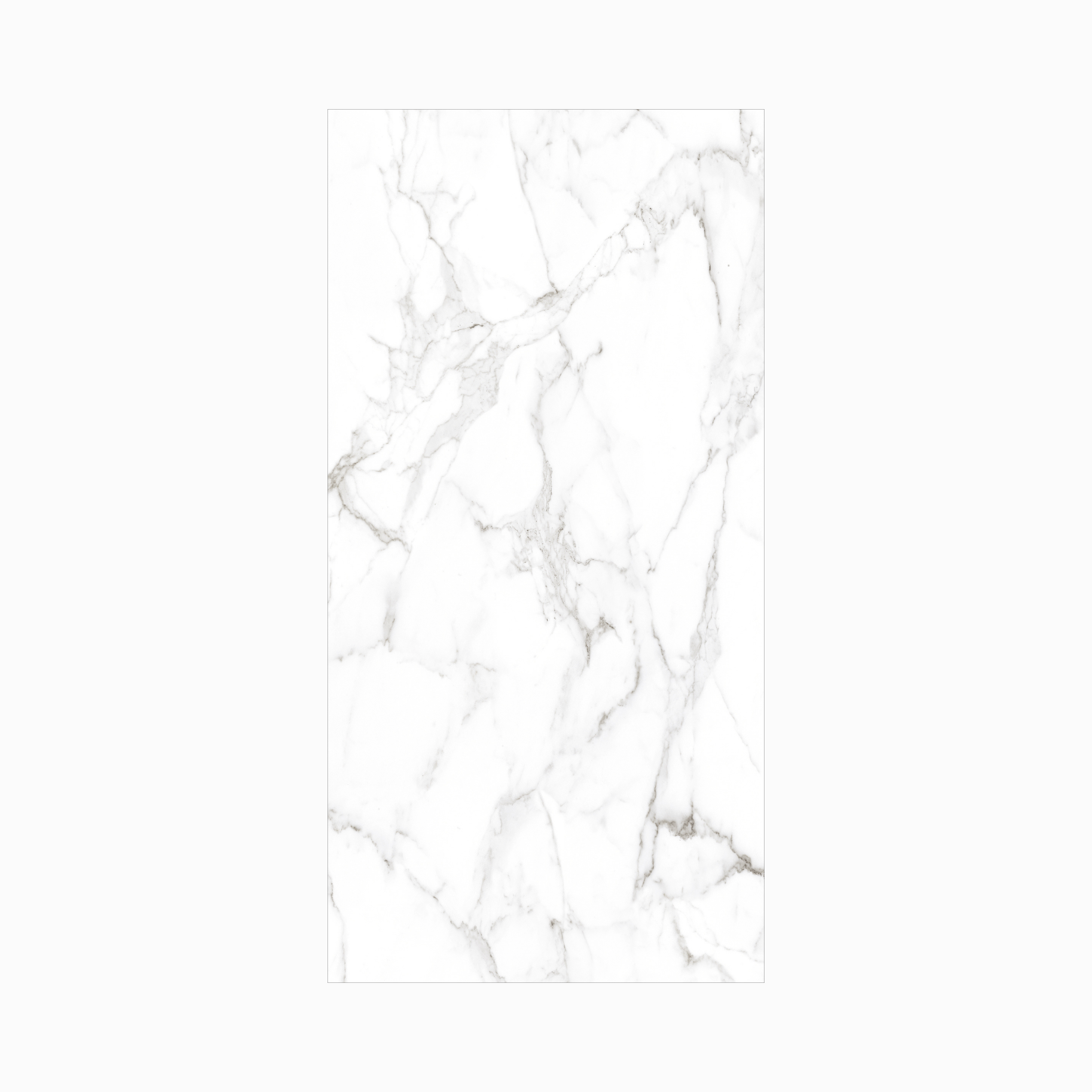 Statuario Marble 120x240cm glossy tile with bold grey veining on white. Perfect for walls and floors, adding timeless elegance to modern interiors.