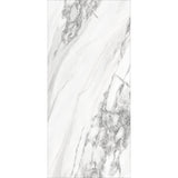 VERONIC ARBESQUE (BOOK MATCH)