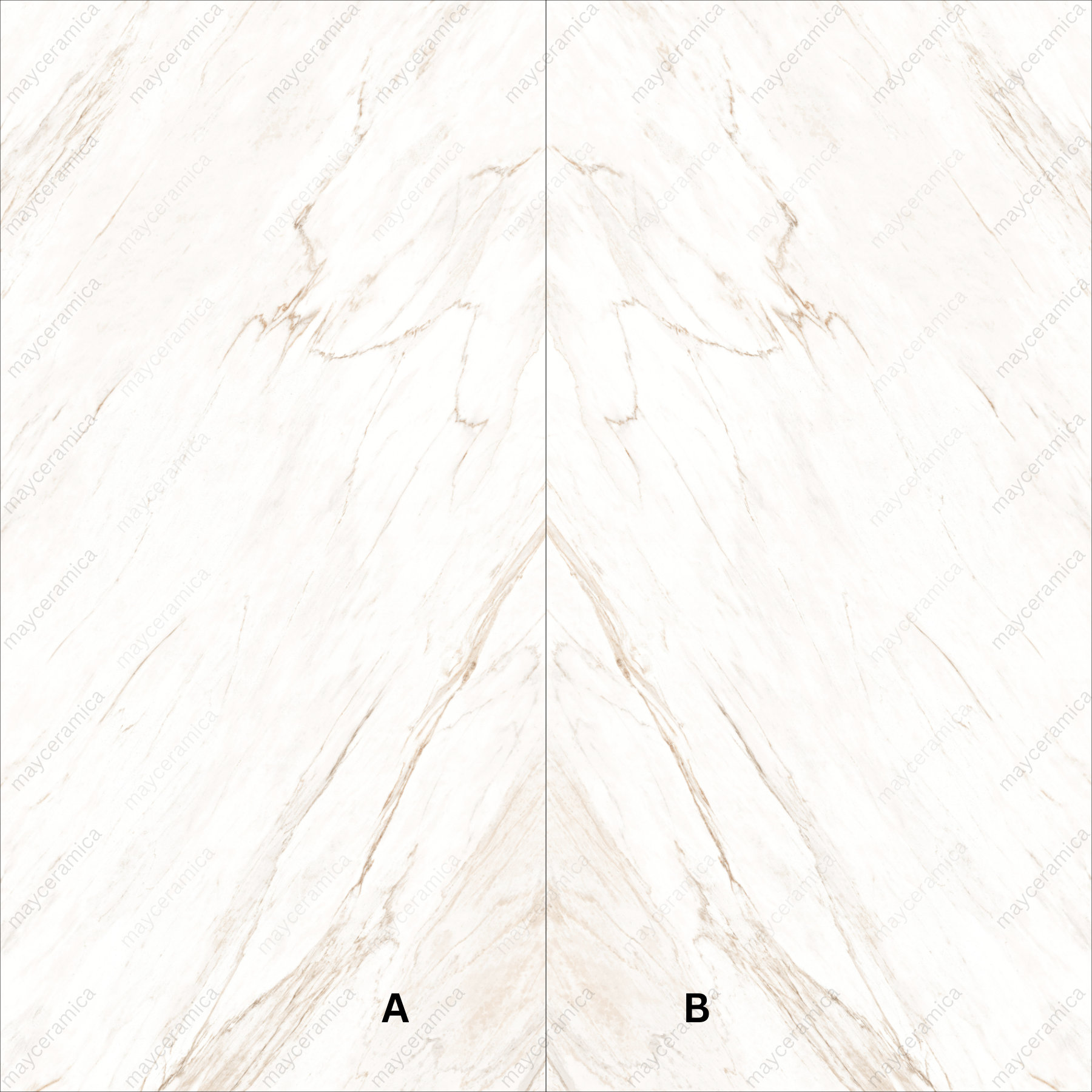 angelo-ice