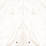 angelo-ice