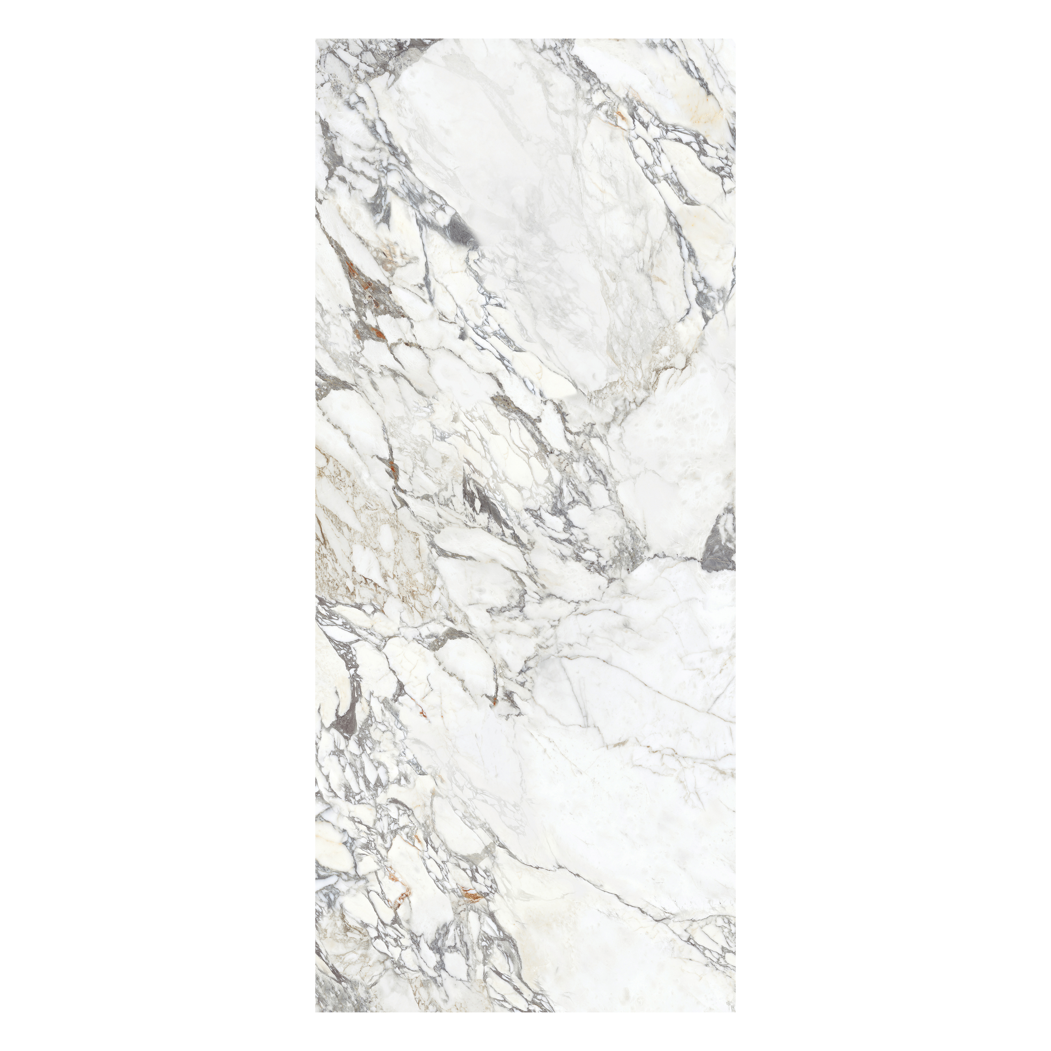 ARBESCATO 120x278cm tile in glossy finish with book match marble look. Perfect for large format tile interior surfaces.