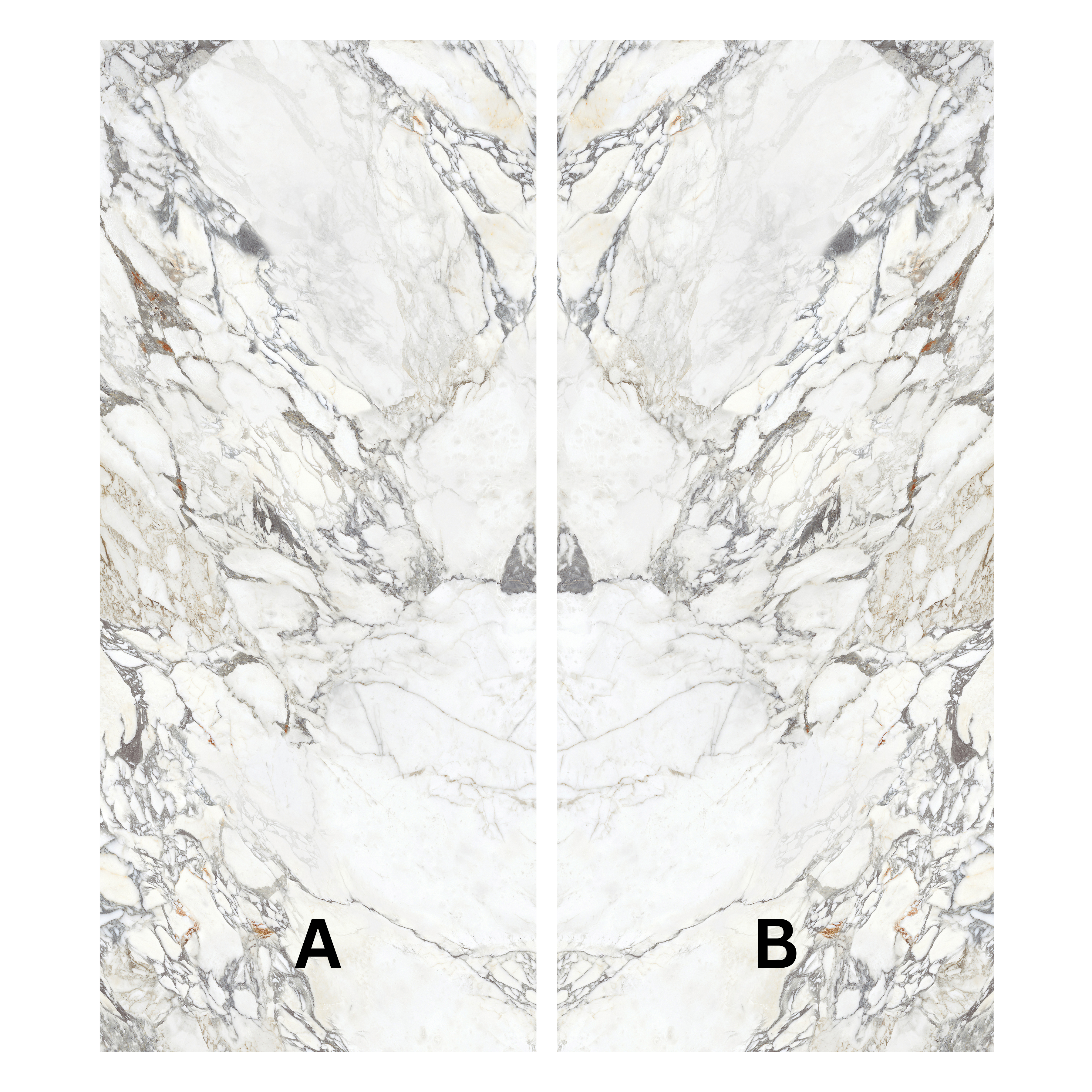 ARBESCATO 120x278cm tile in glossy finish with book match marble look. Perfect for large format tile interior surfaces.