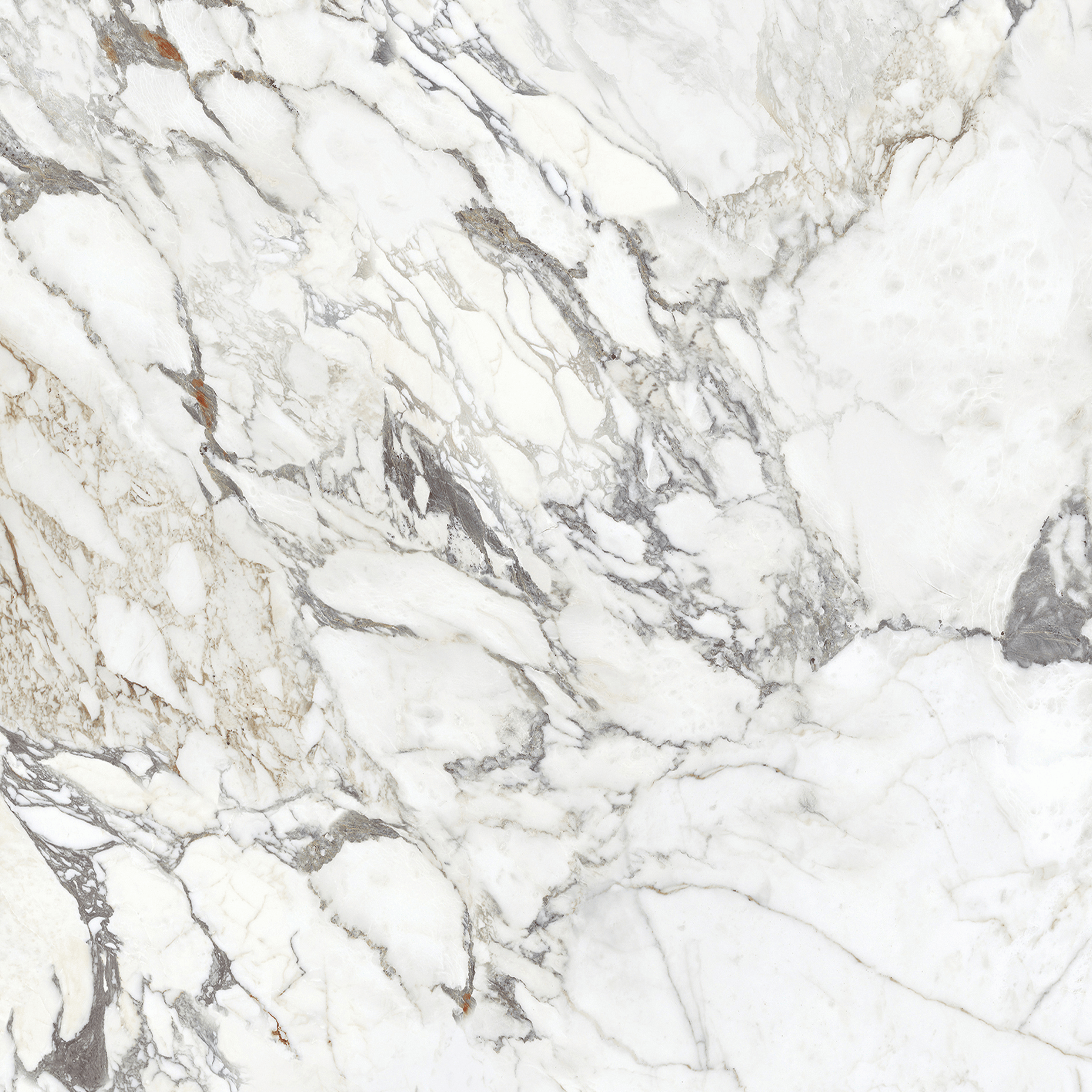 ARBESCATO 120x278cm tile in glossy finish with book match marble look. Perfect for large format tile interior surfaces.