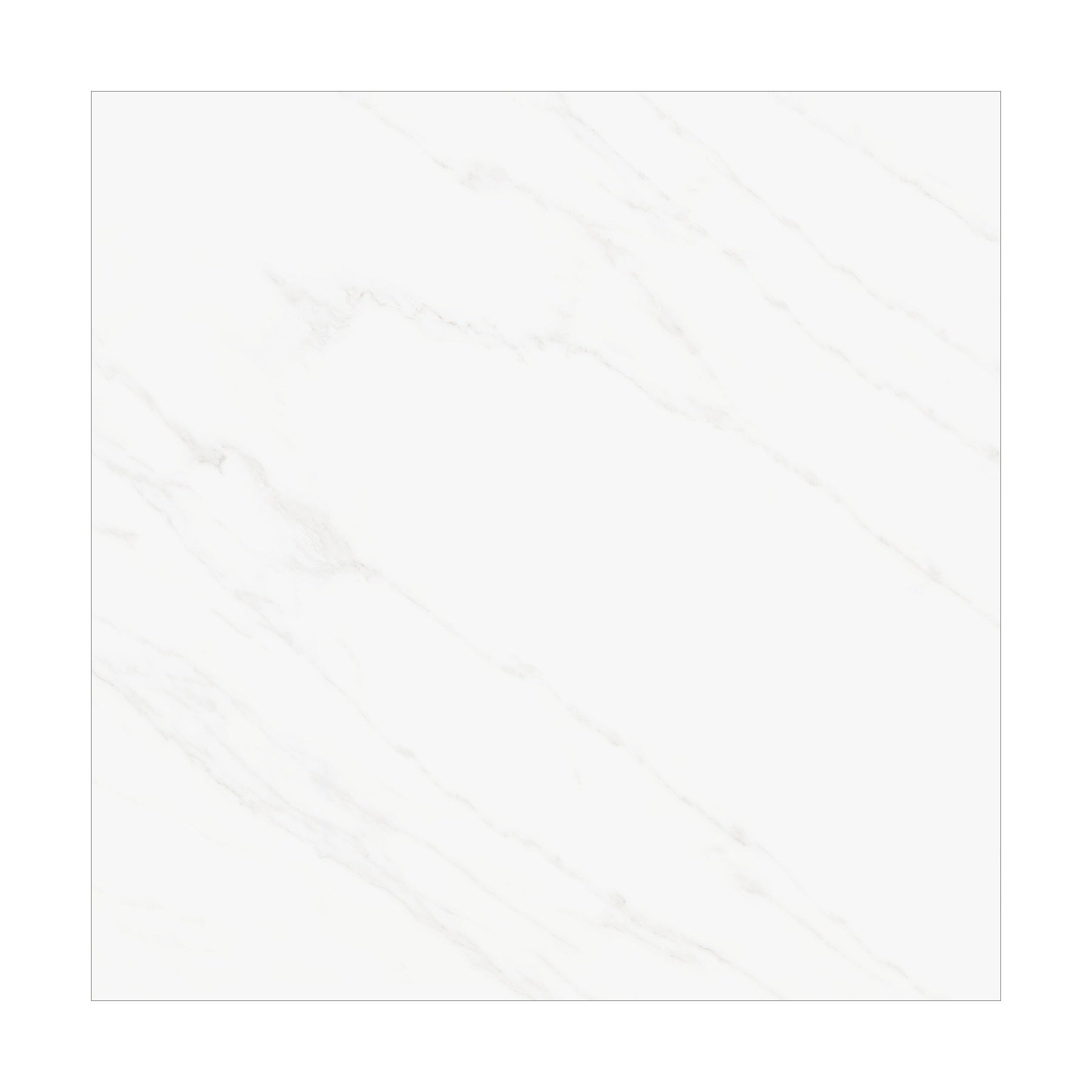 ARENASHINE1
