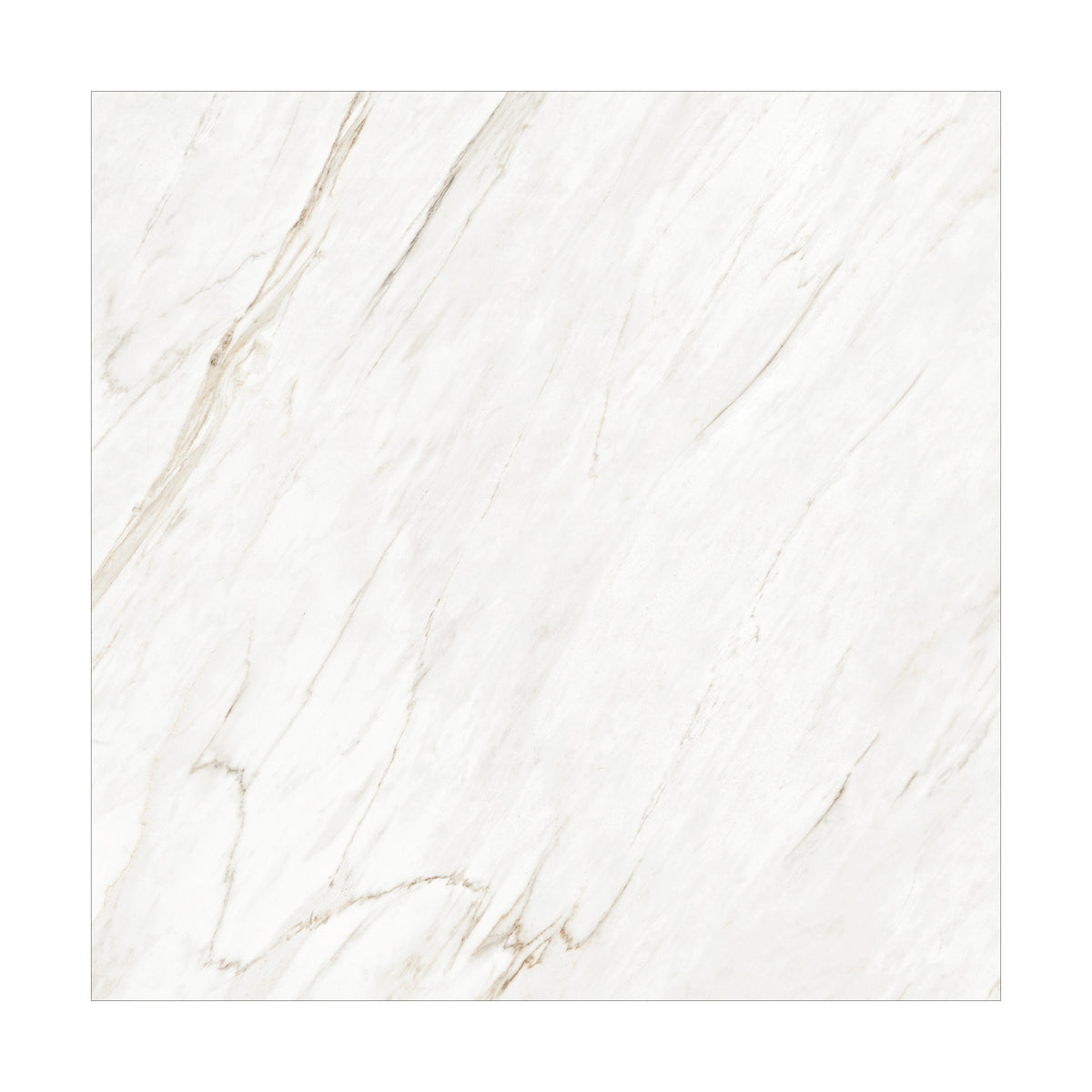BURBERRY BIANCO