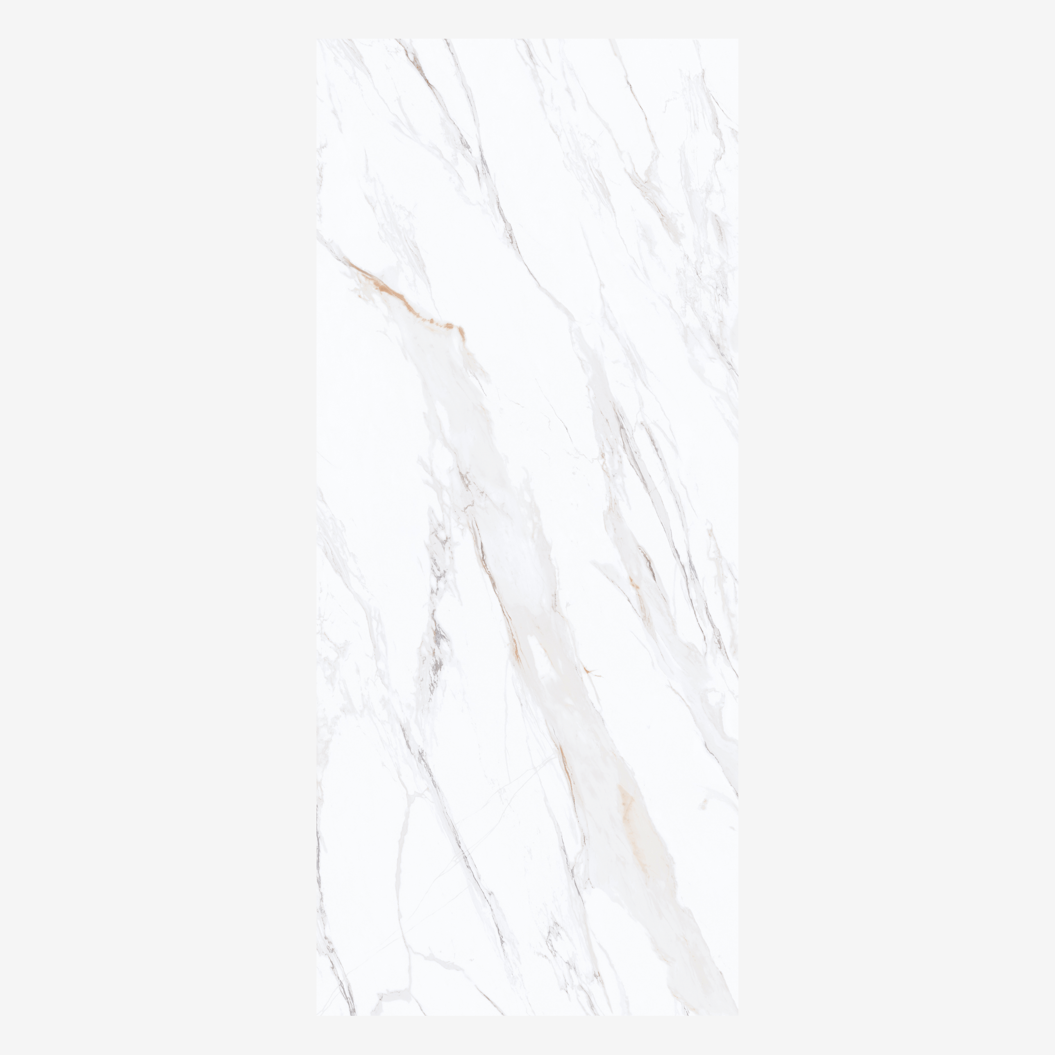 
CALACUTTA GOLD 120x278cm marble look tile with exquisite veining and a luxurious glossy finish. A premium large format tile for elegant interiors.
