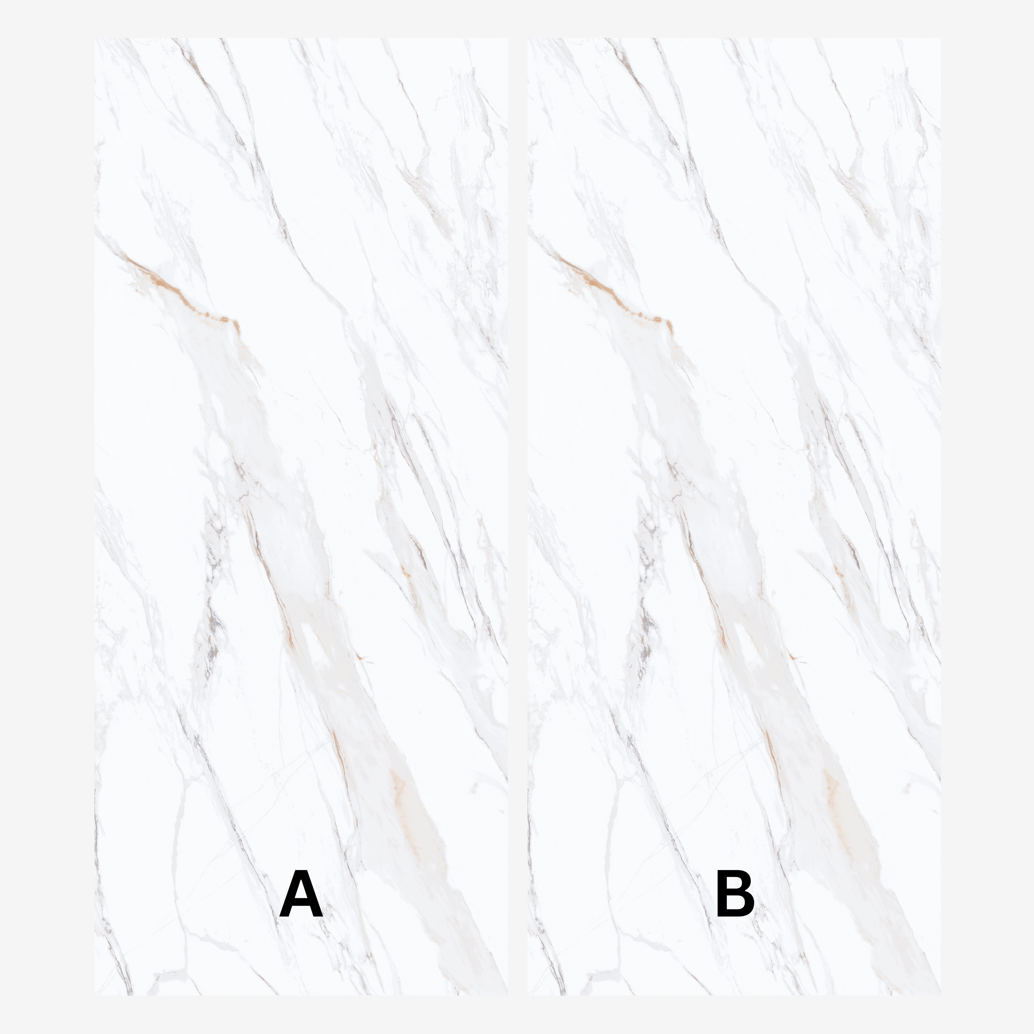 
CALACUTTA GOLD 120x278cm marble look tile with exquisite veining and a luxurious glossy finish. A premium large format tile for elegant interiors.
