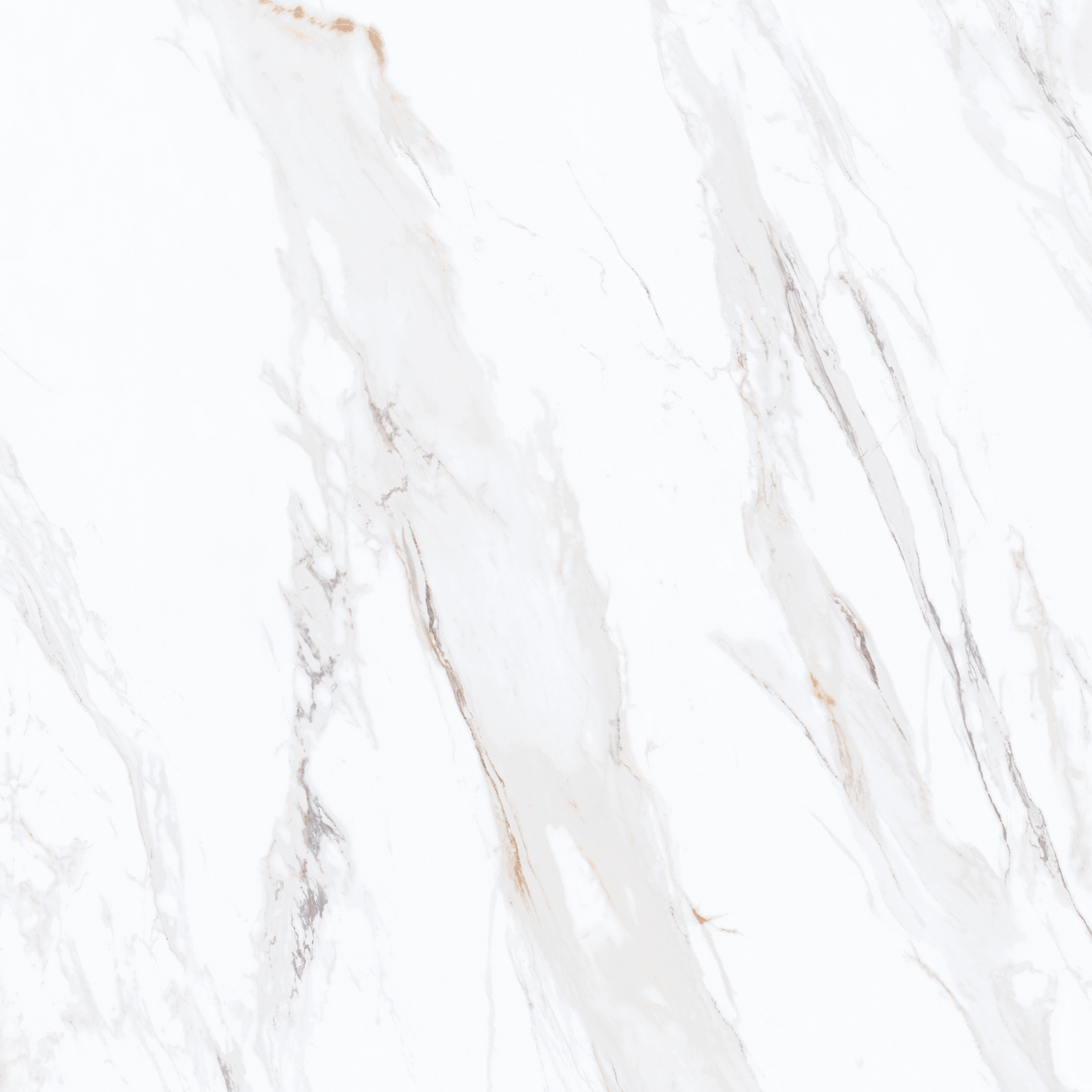 


CALACUTTA GOLD 120x278cm marble look tile with exquisite veining and a luxurious glossy finish. A premium large format tile for elegant interiors.
