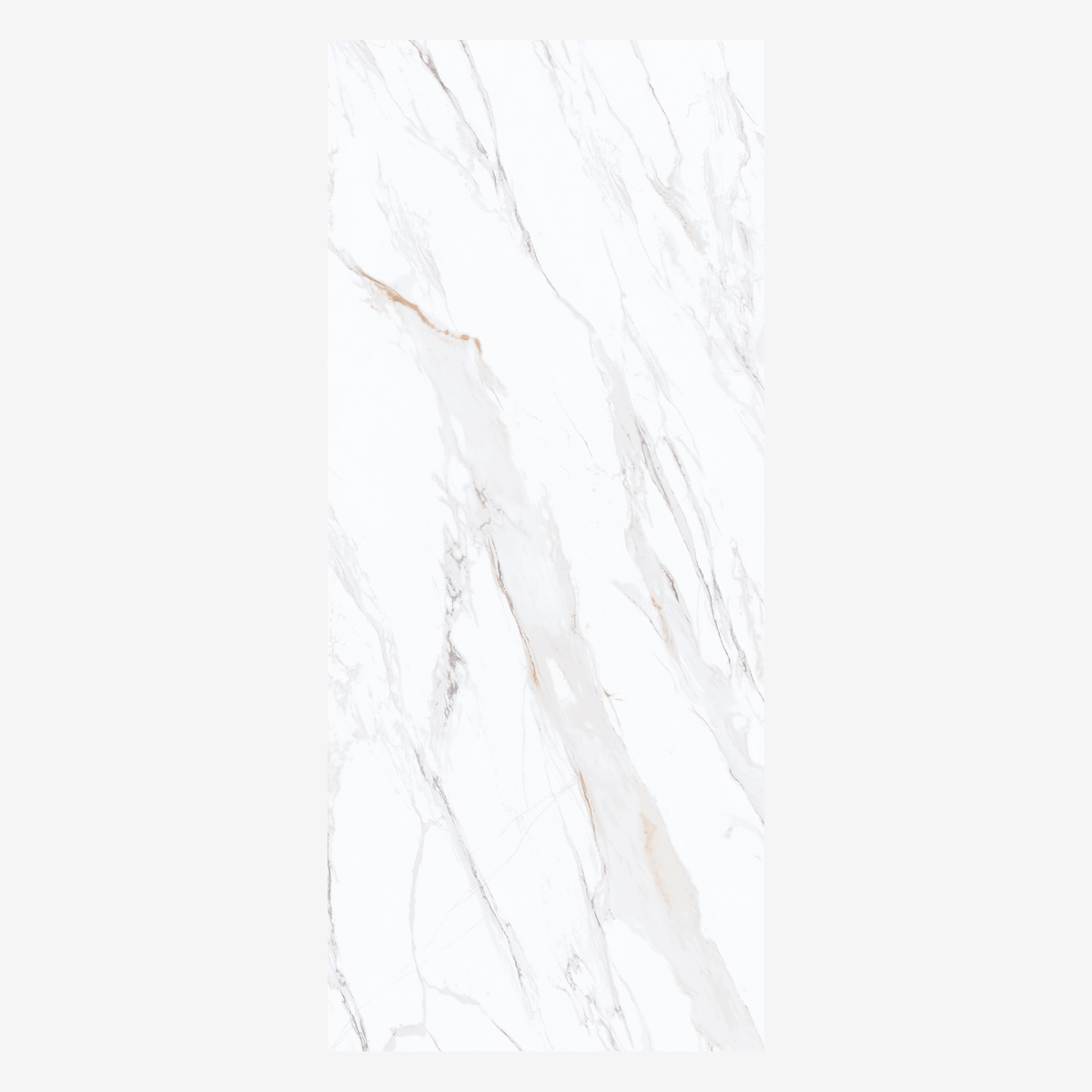 
CALACUTTA GOLD 120x278cm marble look tile with exquisite veining and a luxurious glossy finish. A premium large format tile for elegant interiors.
