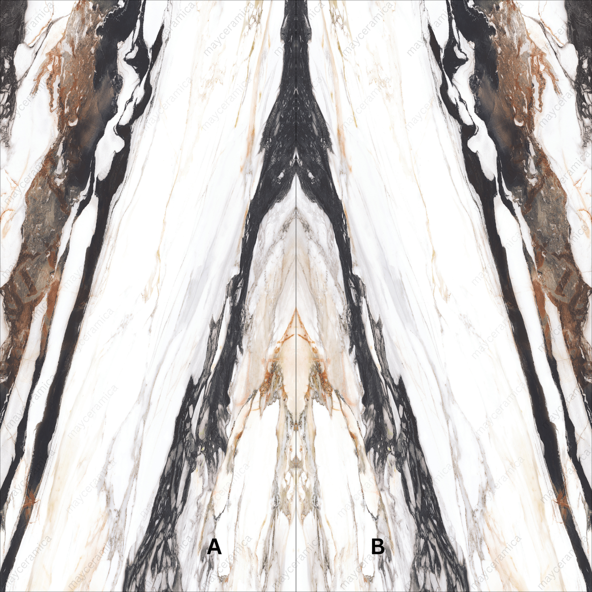 CALCUTTAOYSTER1a