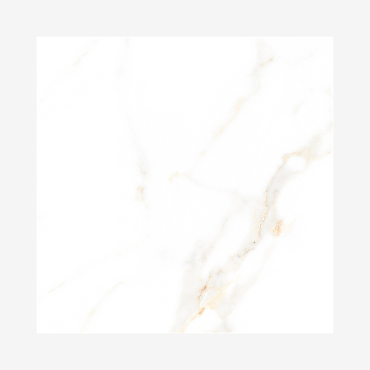Cecelia Gold 120x120cm matt porcelain tile with soft cream base and golden veining. Elegant, durable, and ideal for modern luxury interiors.