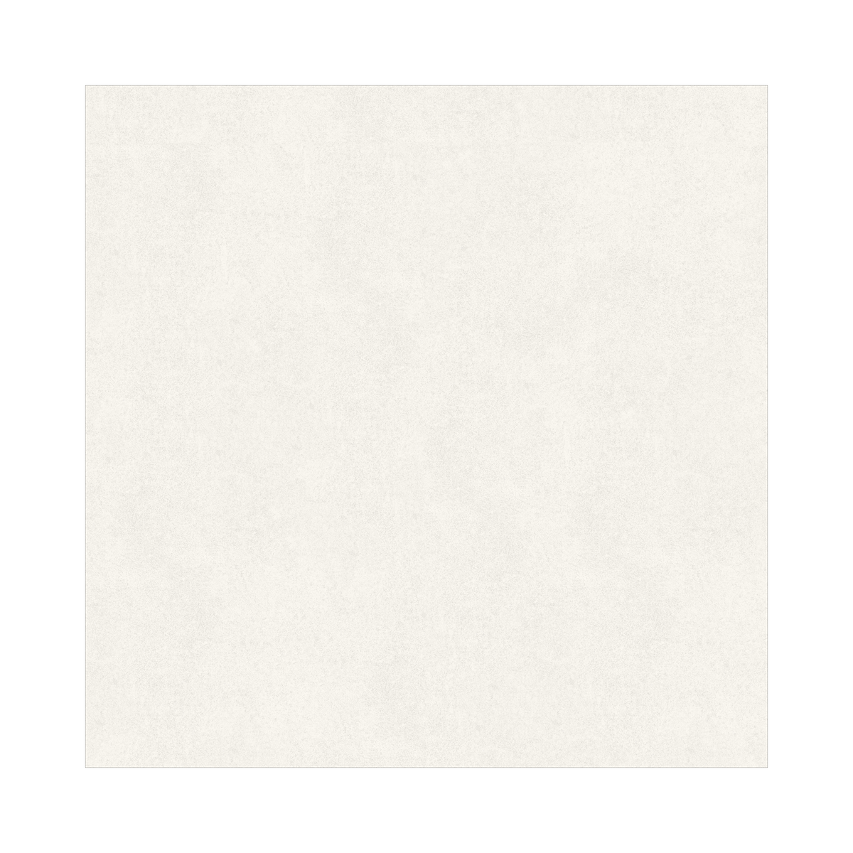 Norway Cemento Bianco 120x120cm matt porcelain tile with subtle cement texture. Durable, elegant, and ideal for modern floors and walls.