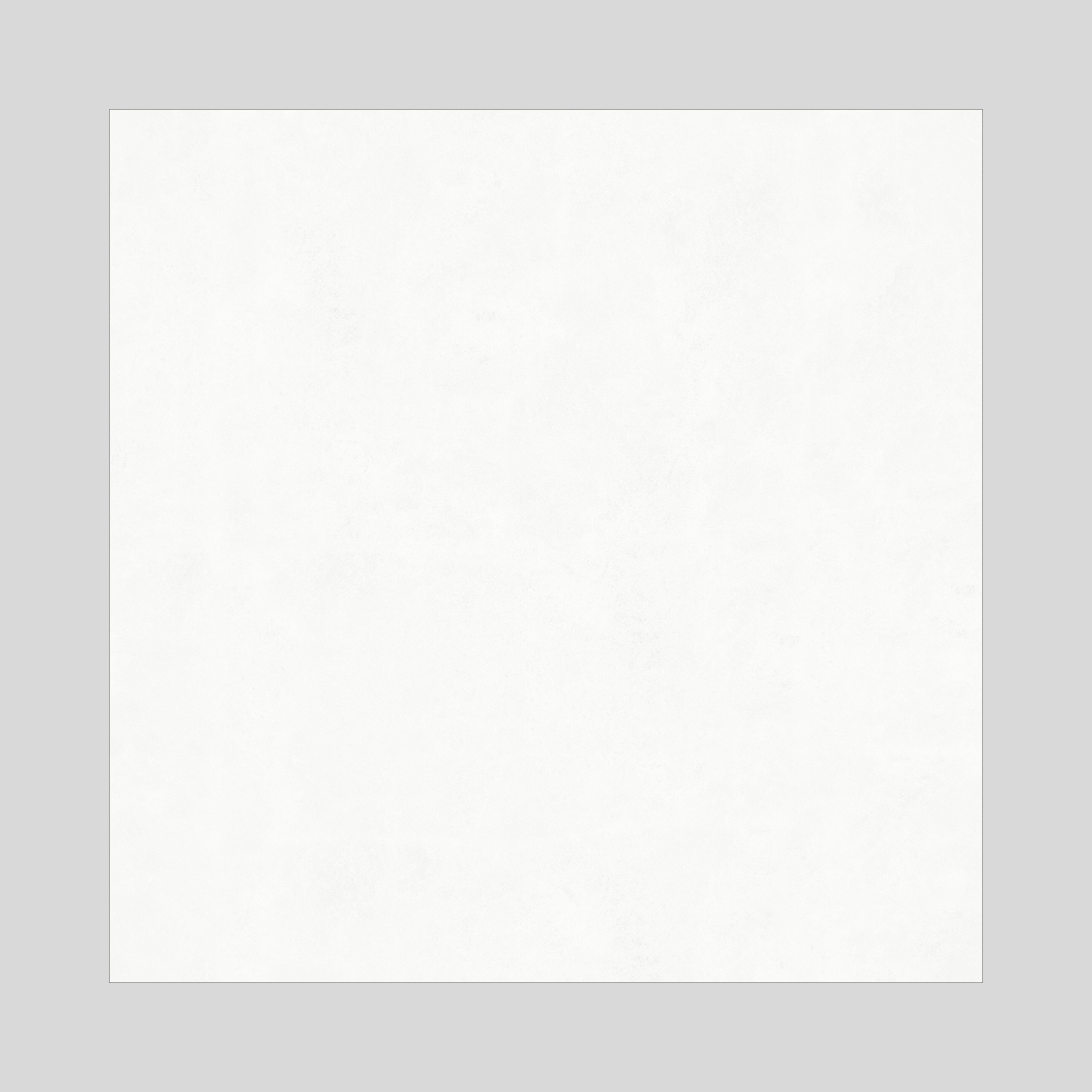 Polowhite1