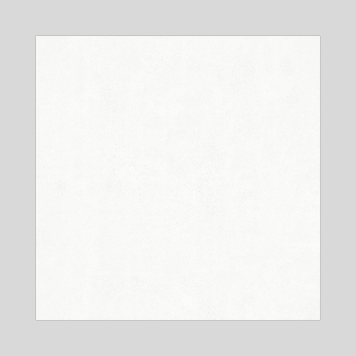 Polowhite1