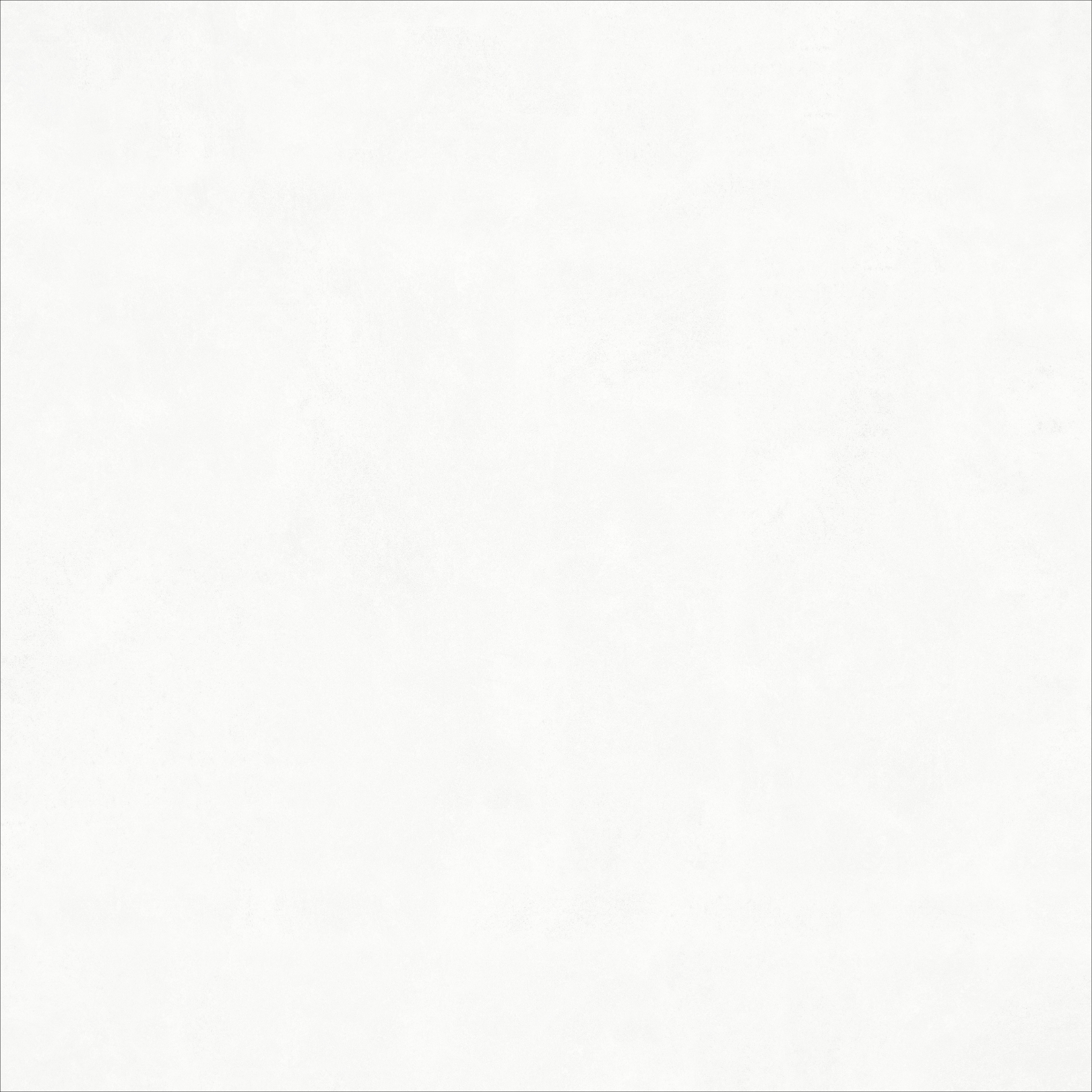 Polowhite2