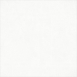 Polowhite2