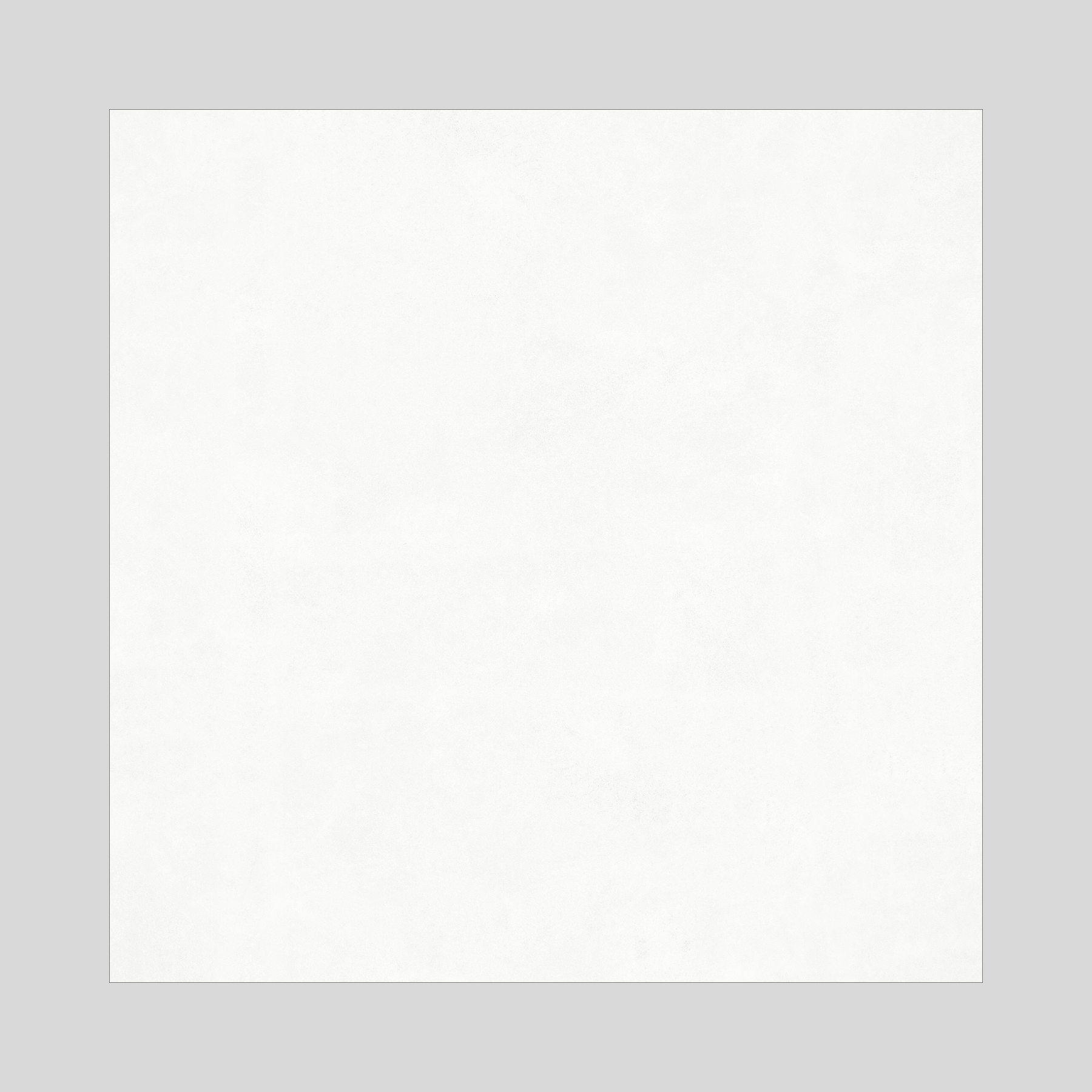 Polowhite3