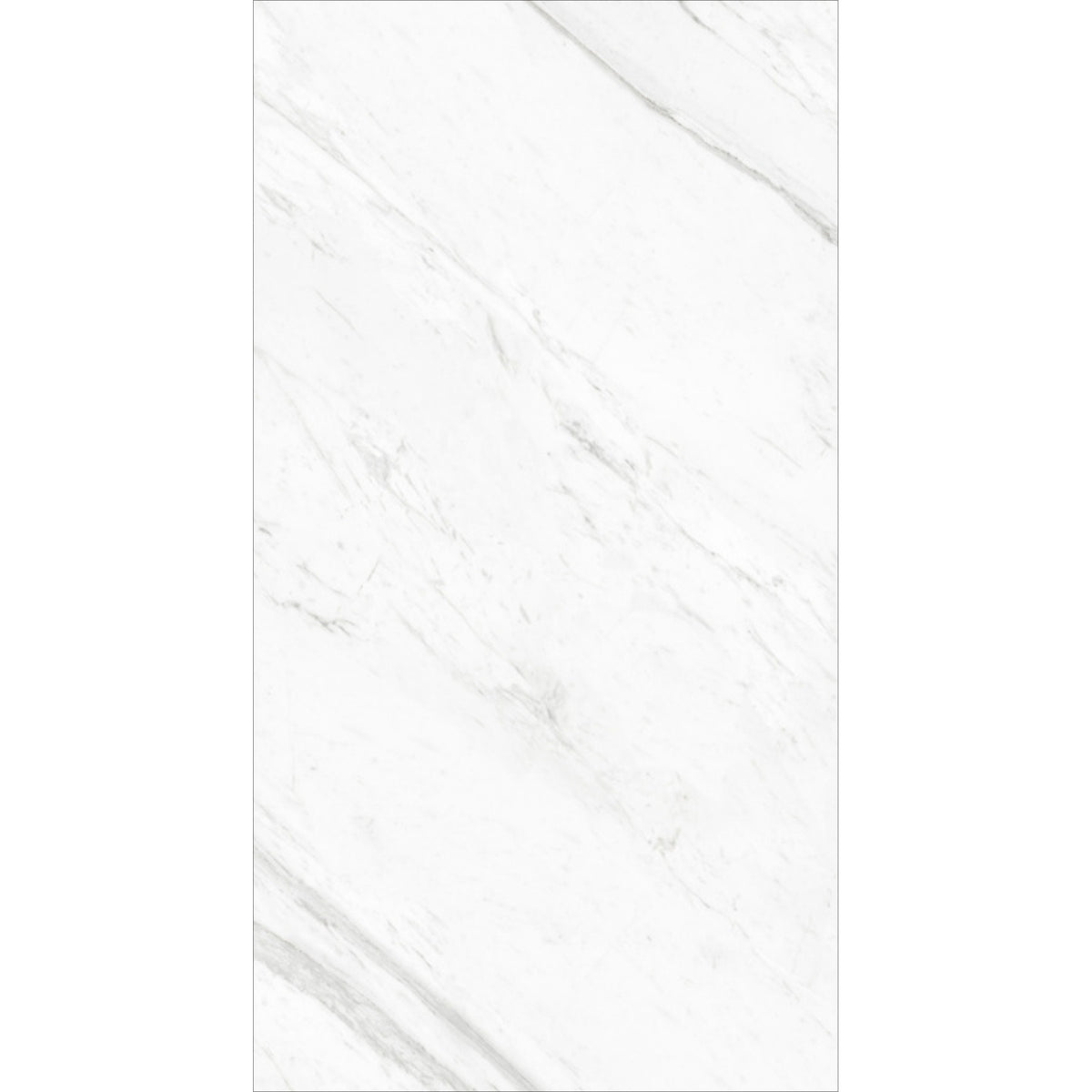 STATUARIOPLATINA2