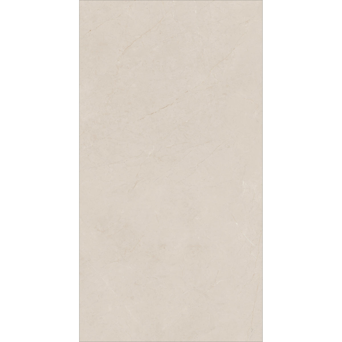 BARI IVORY